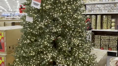 Great Christmas tree in Canada tire