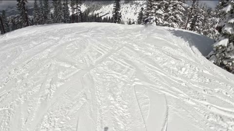 Snow Boarding Dodge Ride