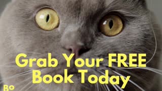 Grab Your FREE Escape Plan Book