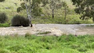 Creek turns into river after few raining days