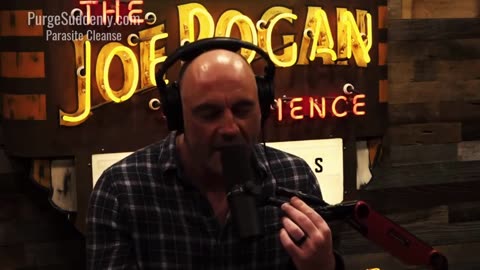 Joe Rogan discusses one form of parasites that can only reproduce through cats