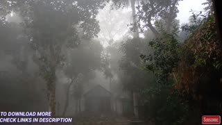 Winter Morning Ambience: Serene Sounds & Foggy Weather