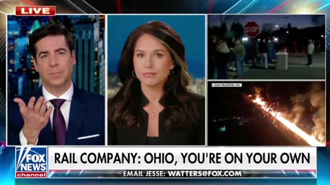 Tulsi Gabbard on the absence of those in power following the toxic chemical release in Ohio