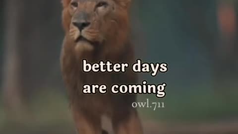 better days are coming