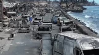 Hawaii fires death toll hits 99