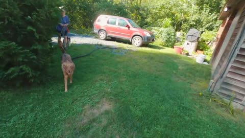 Riverside Camping with my Dog and Old Truck-16