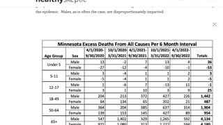 Minnesota excess vax deaths