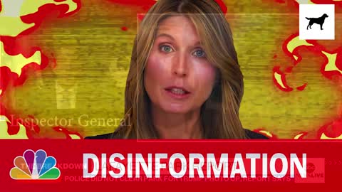 Nicolle Wallace: The Typhoid Mary of Disinformation