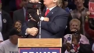 I love this one. Trump and the little boy.