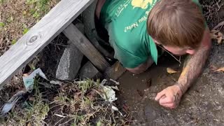 Injured Raccoon Rescued from Pipe