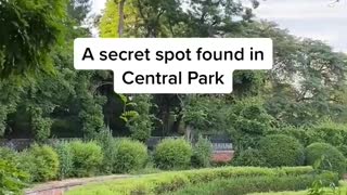 A secret spot found inCentral Park