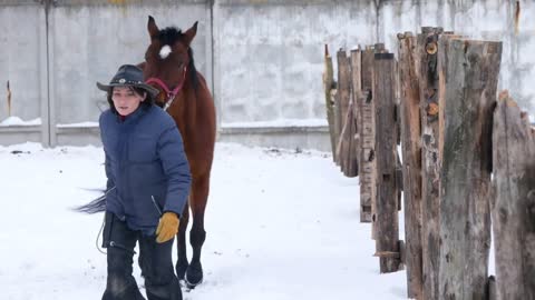 Rider leads on a leash brown horse walking in the field in winter