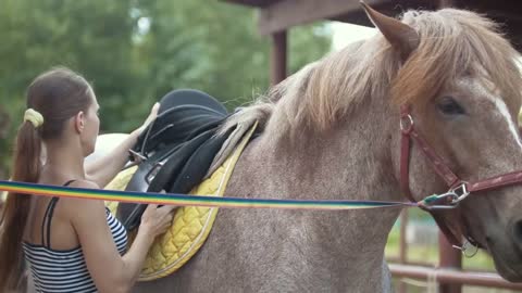 Young women puts a saddle on a horse outdoors at summer