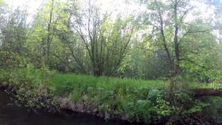 A Riverside Fisher