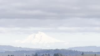 Mt. Hood View