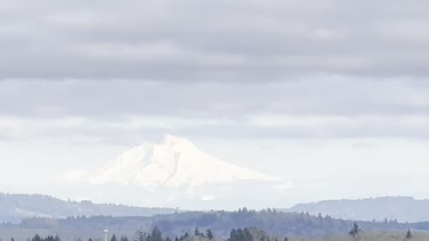 Mt. Hood View