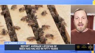 Worse News Yet for Honeybees