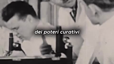 Tutto ciò che sappiamo, mangiamo, ascoltiamo, tutto è controllato da poche famiglie