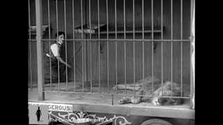 Charlie Chaplin - The Lion Cage - Full Scene (The Circus, 1928)