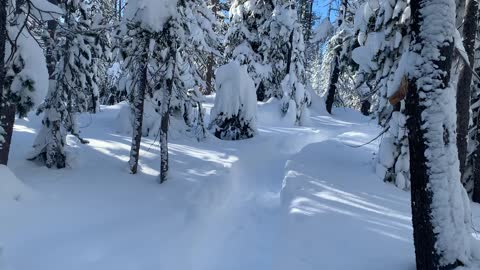 Ridiculous in a Good Way – Central Oregon – Swampy Lakes Sno-Park – 4K