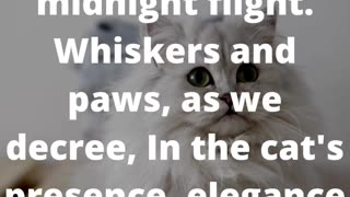 Meows and Monologues: A Prose Exploration of Feline Mysteries #poem #poetry #shorts #art👍👄🔔🛫✒️