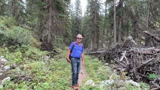 Walk in Sheep River Provincial Park