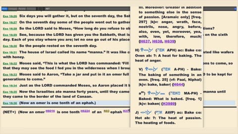 & They Murmured Against The LORD |Passover & Unleavened Bread 2024