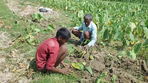 Uttar Pradesh Beautiful Village Life In India || Real Life India Up Rural Life || Daily Routine