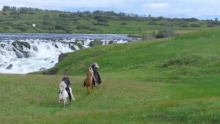 The Horses of Iceland official video