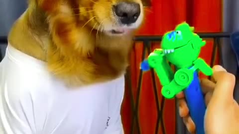 Dog- Just because I'm good-natured doesn't mean I won't bite! funny dog videos
