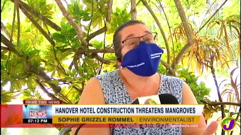 Hanover Hotel Construction Threatens Mangroves