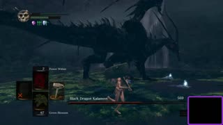 Dark Souls SL1 NG7 Black Dragon Kalameet