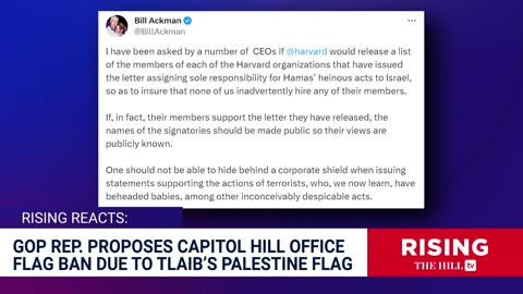 FLAG BAN? Rep Tlaib Criticized For Palestinian Flag Outside Office, GOP Rep Proposes Bill