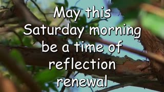 Embrace the Divine Presence and Find Renewal - Saturday Morning Prayer