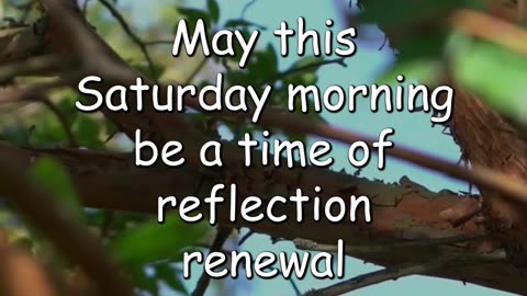 Embrace the Divine Presence and Find Renewal - Saturday Morning Prayer