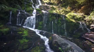 Relaxing Nature Sounds - Forest Waterfall Music Meditation Sound