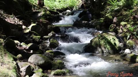 MT. BAKER NOOKSACK TRIBUTARY