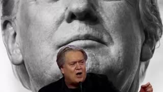 Steve Bannon: You've deemed Trump's not going to be President—well, we've deemed you're not going to have a network!