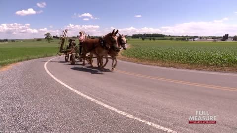 Amish Covid