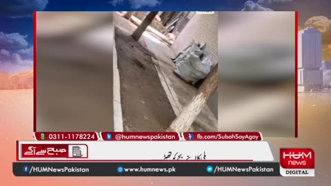 Mother is Always Mother - Cat Slaps kitten۔۔بلی کا اپنے بچے کو زوردارچھانٹا