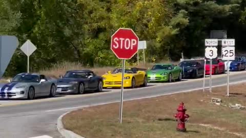 Dodge Viper Rally! So many cool colors!