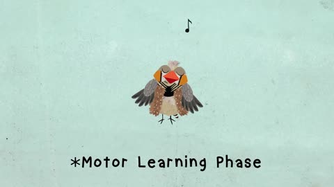 The surprising reason birds sing - Partha P. Mitra