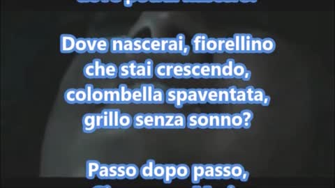 LA CANZONE DI NATALE SUDAMERICANA . LA PEREGRINACION!