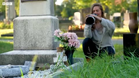 Wild Hamsters Thriving in Viennese Graveyards I Coexistence I BBC Earth