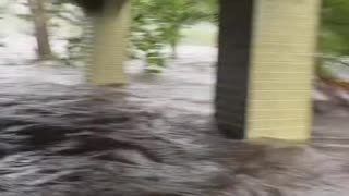 Couple Caught in the Middle of a Hurricane at Home