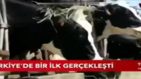 Yapay et doğal etten daha sağlıklı diye halkı yanıltıyor!!