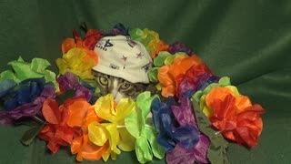 This Cat Hid under the Flowers