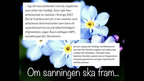 Mp_s Åsa Lindhagen ny Migrationsexpert