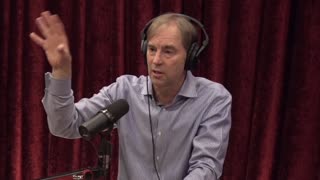 Joe Rogan & Stephen C. Meyer Discuss an Evolutionary Challenge