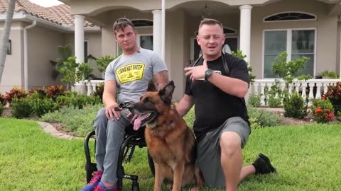 Training a Personal Protection Dog for Madison Cawthorn | Pets Dogs